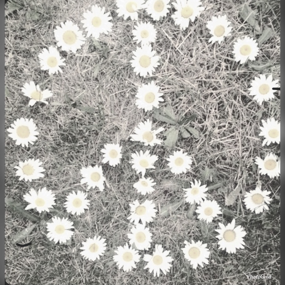 ☾👁🗨This is a🌸✌️Peaceful Vibe✌️🌸Closet 👁🗨 ☾